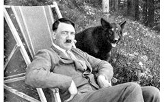 希特勒对心理学的发展有什么影响？