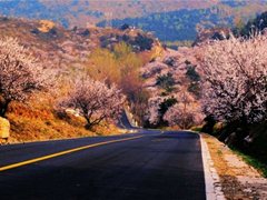 最美的风景在身边：不要忽略了路上的风景